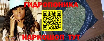 гидропоника Татарск